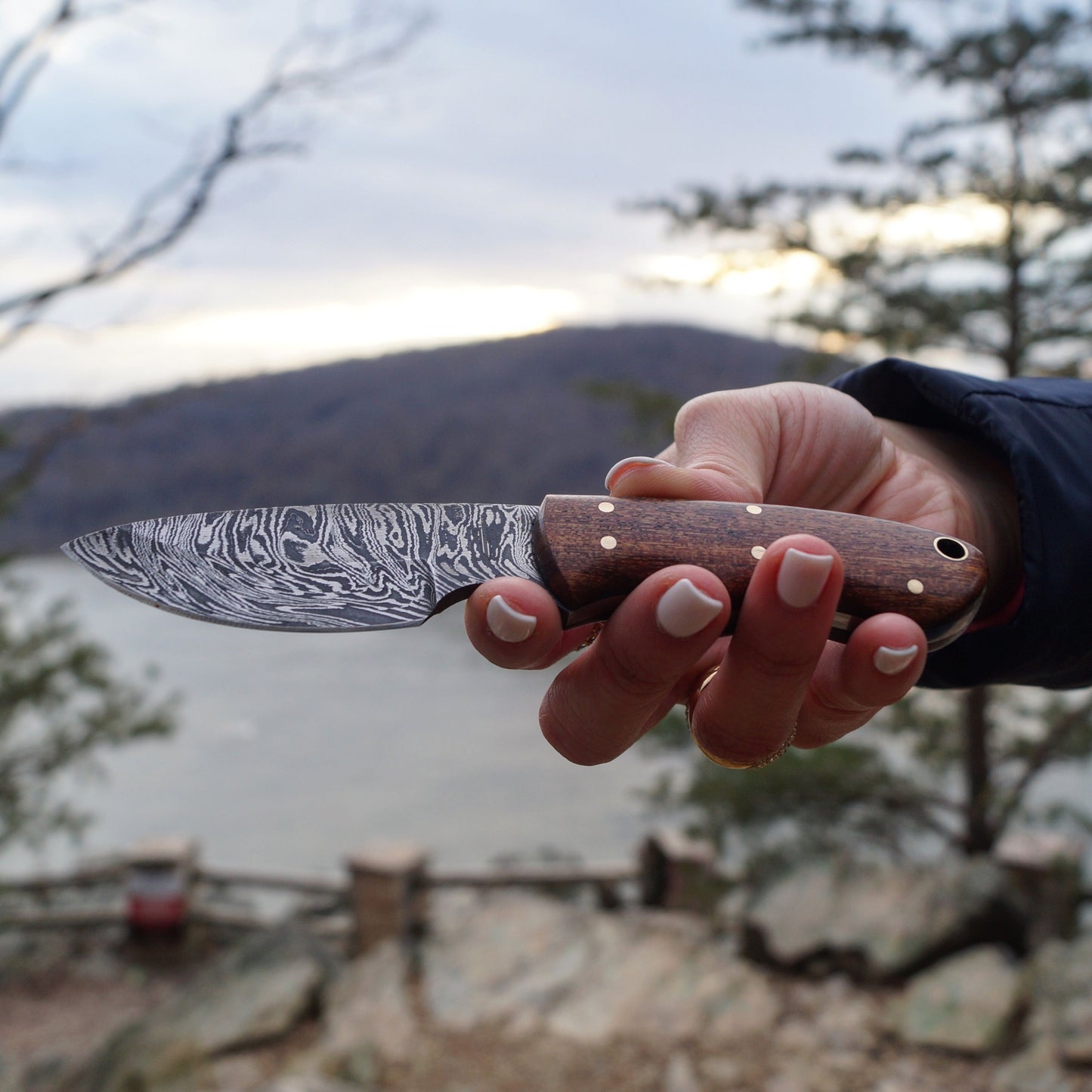 BnB Knives Mini Skinner – 1095 Damascus / Walnut Wood bnb15252