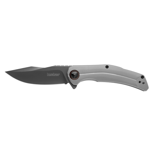 Kershaw Believer Assisted Opening Knife Stainless Steel (3.25" Gray PVD) 2070