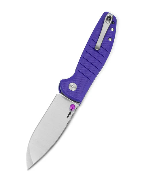 BESTECHMAN GOODBOY Jr. BMK10C: 2.83" D2 Steel Blade, G10 Scales, Button Lock